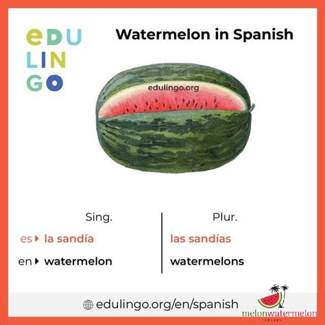 gambling in spanish|watermelon in spanish.